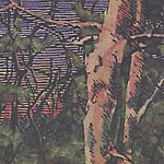 View Product Details