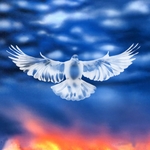 View Product Details