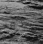 View Product Details