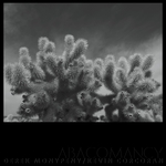 View Product Details