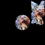 View Product Details