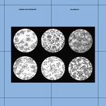 View Product Details