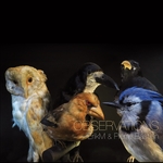 View Product Details