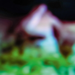 View Product Details