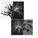 View Product Details